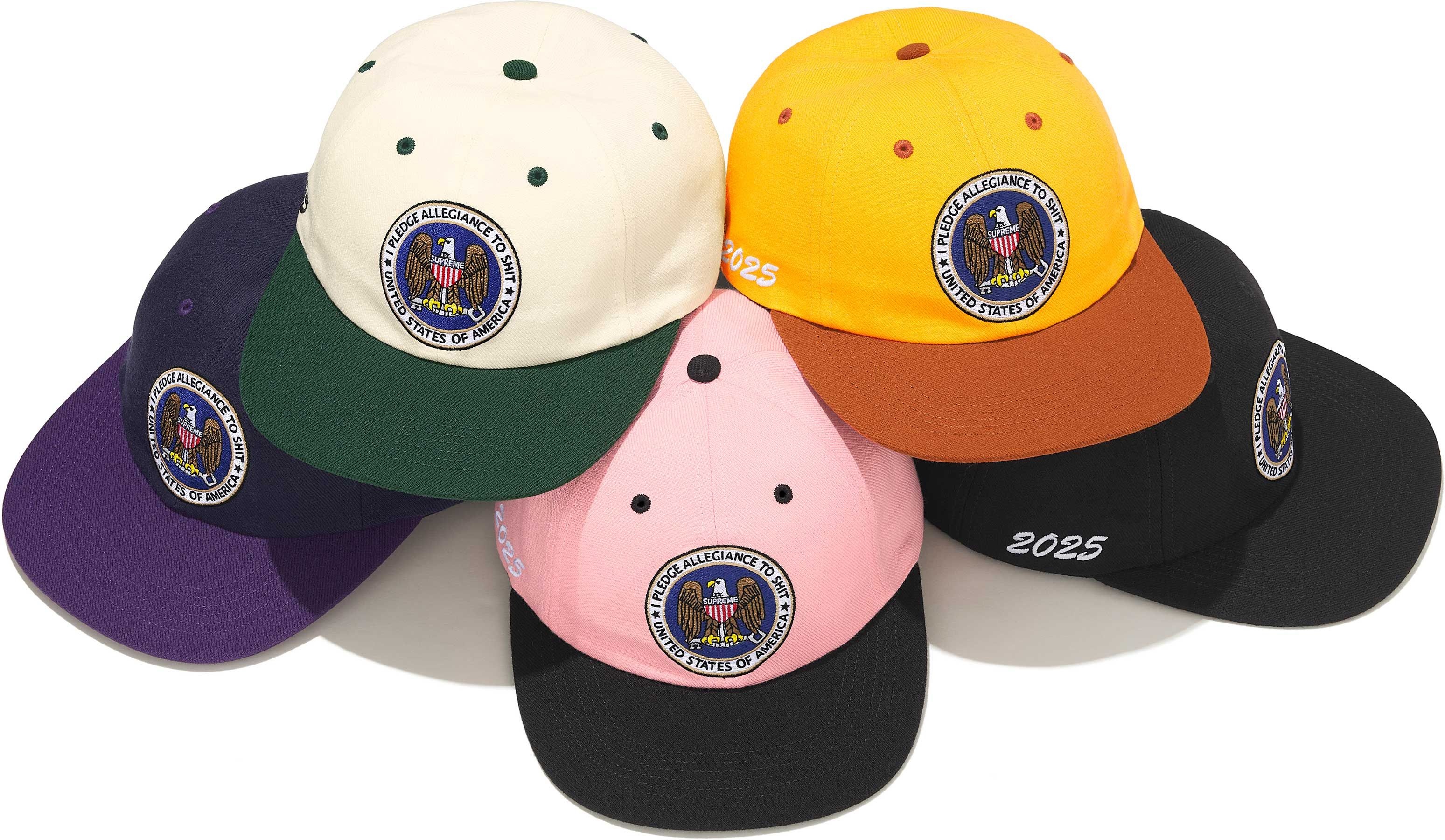 Pledge Allegiance 6-Panel